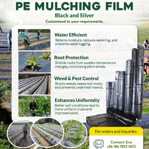 Película de Cobertura Biodegradable <span class=keywords><strong>para</strong></span> Control de Malezas, Película de Polietileno Negra/Plateada <span class=keywords><strong>para</strong></span> Agricultura - Product Image 4