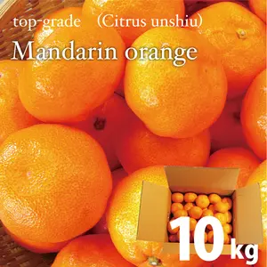 Grosir Yang Terbaik dari Jepang Murah Pertanian Jeruk Segar Mandarin