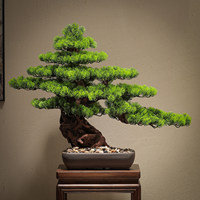 Nouvelle plante artificielle de style chinois en pot pour la décoration intérieure du salon et du bureau