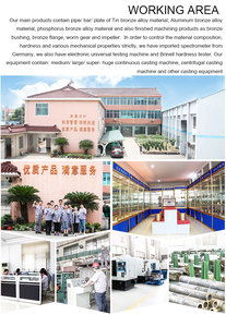 Tùy chỉnh Graphite Chèn Lót Bằng Đồng - Product Image 4