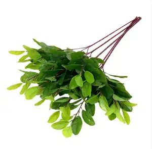 Lifelike Artificial Green Leaves Mango tree branches with 3 branches Artificial Mango Leaves for decoration