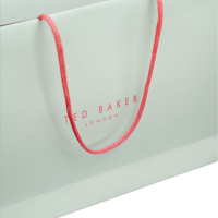 Eco-Friendly Thick Paperboard Gift Bag Custom Printed with Long Cotton Rope Handle