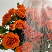 Goedkope prijs landbouwkas anti-insectengaas met snijservice plastic netting