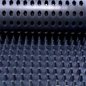 Stockage de HDPE-conseil de Drainage/50*50cm/panneau/H20-30mm noirs de fossette - Product Image 4