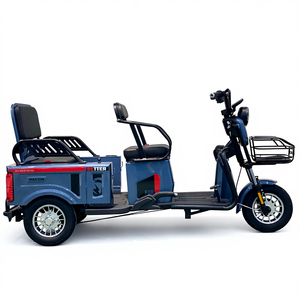 Hot Sale Electric Motorbike Trike E Bike Tricycle Adult 3 Wheel Open Body <strong>Passenger</strong> <strong>2</strong> <strong>Passengers</strong> - Product Image 3