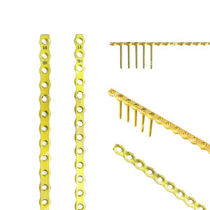 <span class=keywords><strong>Factory</strong></span> Made 3.5mm AO Bloqueio Parafusos De Titânio para Implantes Ortopédicos Veterinários e Placas <span class=keywords><strong>Trauma</strong></span> Ortopédica Lmplant - Product Image 1