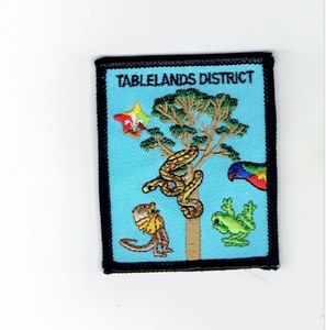 All Star Emblems Taiwan Brand Factory Direct Tissu sergé brodé Patches thermocollants pour vestes chapeaux vêtements - Product Image 4