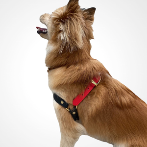 Harnais pour chien en PVC grainé effet cuir <span class=keywords><strong>de</strong></span> qualité supérieure, anti-transpiration, imperméable, nettoyage rapide, anneau en D robuste, OEM/ODM - Product Image 4