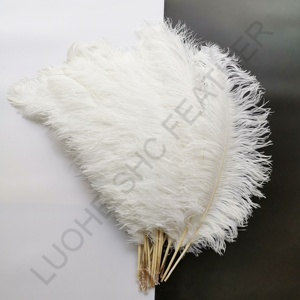 Fournisseurs en gros de grandes <span class=keywords><strong>plumes</strong></span> d'autruche <span class=keywords><strong>blanches</strong></span> de 75-80 cm pour la décoration de carnaval et de festival, <span class=keywords><strong>plumes</strong></span> d'autruche décoratives pour les mariages et les fêtes - Product Image 2