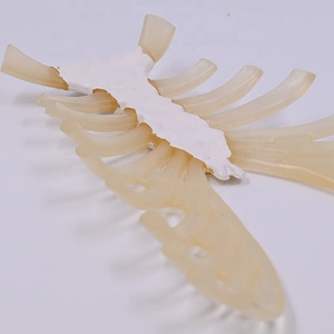 Modelo <span class=keywords><strong>de</strong></span> enseñanza médica, <span class=keywords><strong>esqueleto</strong></span> humano <span class=keywords><strong>de</strong></span> tamaño natural, modelo disperso, costillas <span class=keywords><strong>de</strong></span> pecho con modelo <span class=keywords><strong>de</strong></span> <span class=keywords><strong>cartílago</strong></span> <span class=keywords><strong>de</strong></span> costilla - Product Image 4