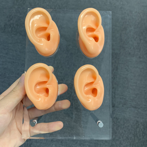 Prothèses auditives Souple Flexible Silicone Quatre Oreilles Modèle D'oreille Présentoir Modèle HappyHearing Affichage D'oreille - Product Image 2