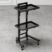 Chariot de coiffure pliable et personnalisable pour salon de beauté, outil professionnel pour salon de coiffure, vente en gros