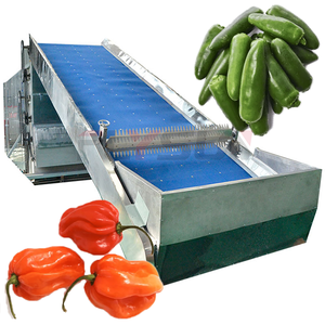 Équipement de séchage entièrement automatique pour piments Habanero, Chili mexicain, <span class=keywords><strong>Serrano</strong></span>, Cayenne, sécheuse industrielle à bande maillée pour piments - Product Image 1
