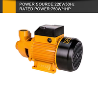 Pompe à eau propre DingQi 370W 0.5HP 104001A 220V 50Hz avec port 1"*1" et hauteur de refoulement max. 26,713m pour l'irrigation domestique et le jardin