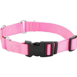 Collar de perro <span class=keywords><strong>Martingale</strong></span> de moda con hebilla de liberación rápida Collar fuerte a prueba de escape para perros pequeños medianos y grandes - Product Image 6