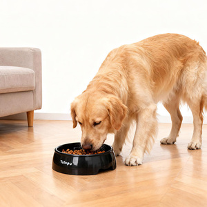 Tigela De Alimentador De Cachorro Anti-<span class=keywords><strong>Choke</strong></span> Plástico De Comida Lenta Ecológica Com Fundo Antiderrapante Durável Anti-Tumble Pet Tigela De Alimentador Lento - Product Image 2