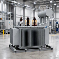 Transformateur de puissance immergé dans l'huile triphasé S20 500 kVA à trois enroulements 50 Hz 60 Hz pour distribution et usage agricole