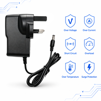 Adaptateur secteur professionnel conforme RoHS 100-240V AC/DC 1A 12V 12W pour fournitures pour animaux de compagnie