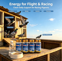 Pilules énergétiques pour pigeons, complément énergétique pour pigeons de course, booster d'endurance et de résistance, anti-fatigue, additif alimentaire pour pigeons de compétition