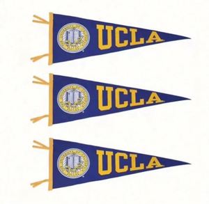 Professional Customizable Digital Printing University Felt Triangle <b>Banners</b> Portable Waterproof Eco-Friendly - Product Image 1