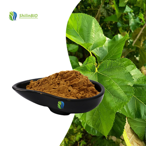 SLBIO Poudre d'extrait de feuille de mûrier de haute qualité, 10% de flavonoïdes - Product Image 2