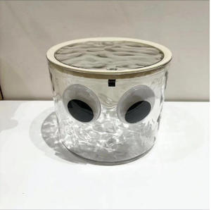 Ganchos Multiusos Creativos, Adhesivos y Decorativos con Forma de Mano y Pie, para Cajas, Papel Higiénico y Basureros - Product Image 3