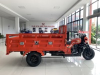 Triciclo motorizado de carga de gran tamaño refrigerado por agua de 200cc