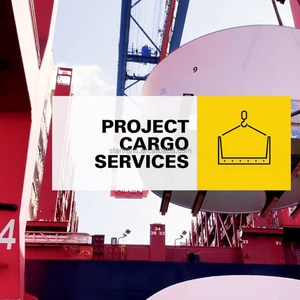 Il più veloce e più conveniente FCL-LCL servizio di trasporto del contenitore dalla Cina a Costa Rica - Product Image 5