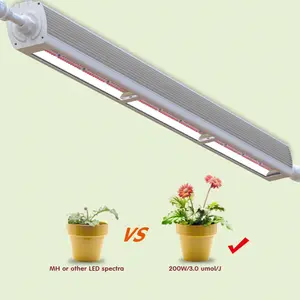 Sistema di coltivazione di piante da interno idroponica all'ingrosso 200W LED coltiva luci per piante da interno
