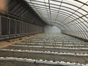 Chinese Solar Greenhouse Double Arch Galvanized Steel Structure Waterproof Warm Quilt Cold Winter Passive Solar Greenhouse