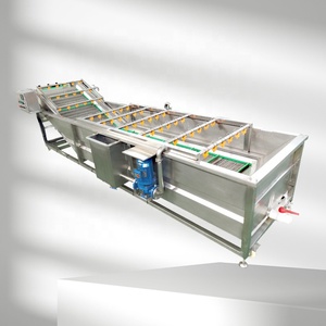 Máquina Automática para Lavar Verduras y Frutas, Limpiadora de Burbujas para Jengibre y Ajo - Product Image 4
