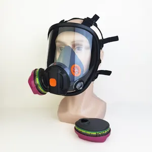 Best Selling Panoramic Full Chlorine Protection CE Kids Gas Mask With Filter