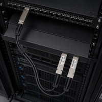 Câble de dérivation DAC passif à faible latence 400G OSFP vers 2x 200G QSFP56 pour cluster AI GPU HPC InfiniBand HDR