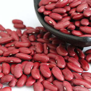 Fagioli Rossi Scuro di Grandi <span class=keywords><strong>Dimensioni</strong></span>, Prezzo per 40 Tonnellate - Product Image 4