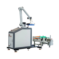 Bras robotisé pneumatique industriel avec moteur PLC - Pince de palettisation robuste avec ventouses à vide pour surfaces planes et lisses