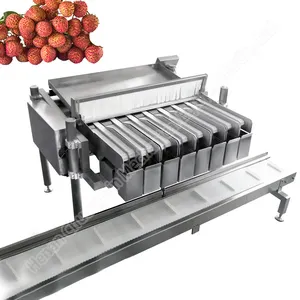 Raspberry Blueberry Punnet Box Filling Blueberry/ lychee/ longan Packing Scale Machine