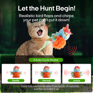 Oiseau qui bat des ailes simulé, jouet interactif pour animaux de compagnie, vente chaude, mignon, personnalisable, en gros, pour chatons - Product Image 2