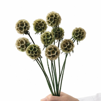 Capullos de Scabiosa Stellata Preservados, 10 Tallos, Ramo de Flores Secas Coloridas Hechas a Mano para Decoración de Bodas y Hogar
