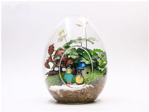 <span class=keywords><strong>Bouteille</strong></span> <span class=keywords><strong>en</strong></span> <span class=keywords><strong>verre</strong></span> créative <span class=keywords><strong>en</strong></span> forme de gros œuf, vase <span class=keywords><strong>en</strong></span> <span class=keywords><strong>verre</strong></span> pour plantes succulentes, micro-paysage, <span class=keywords><strong>bouteille</strong></span> de mousse - Product Image 3