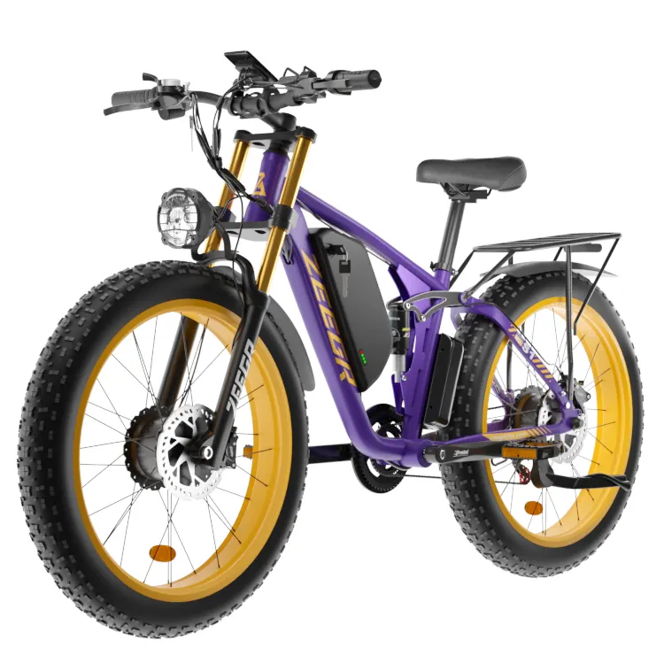 새로운 스타일 듀얼 모터 2000w 48v 22.4ah Ebike 지방 타이어 산악 전기 자전거 성인 전기 자전거