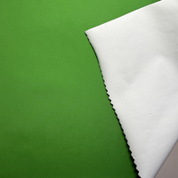 Tissu Taslan en nylon 228T, finition mate, revêtement hydrofuge, résistant aux déchirures 100N, imperméable et respirant pour veste et uniforme d'extérieur