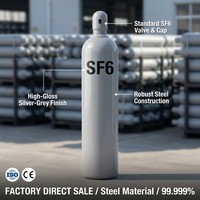 Proveedor Verificado de Hexafluoruro de Azufre SF6 con una Pureza del 99,999% para Fundición de Magnesio e Investigación de Laboratorio a Precio de Fábrica