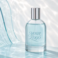 Flacon de parfum en verre à épaule ronde avec logo personnalisé, bouchon en métal argenté, 100 ml, parfum personnalisé, OEM ODM, vente en gros, unisexe
