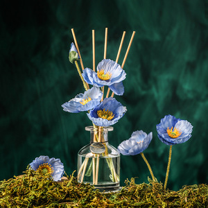 Heshes <b>Reed</b> <b>Diffuser</b> 120ml Glass Aromatic Home Fragrance Decor All Season Use - Product Image 3