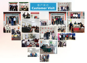 Kit per Test rapido Plasma sanguigno siero sangue anticorpo per ovini/caprini Brucella - Product Image 6