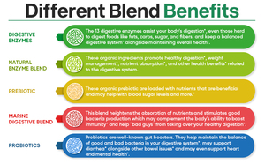 Bổ sung hỗ trợ tiêu hóa cho người lớn viên nang <span class=keywords><strong>enzyme</strong></span> tiêu hóa hữu cơ chiết xuất thực vật men vi sinh - Product Image 5