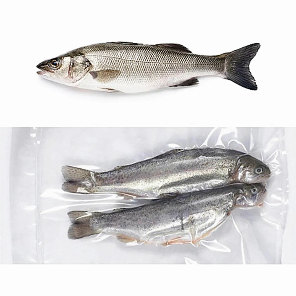 Gefrorene Vakuum Versiegelung tasche mit Punktion Widerstand für Frische Fisch Verpackung.