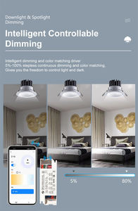 Cổng Thông Minh Tuya Điều Khiển Mờ Sáng Và Màu Sắc Phù Hợp Với Nhà Thông Minh <span class=keywords><strong>Zigbee</strong></span> 2022 - Product Image 6