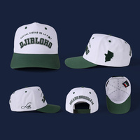 Casquette de baseball OEM 100 % coton personnalisée avec logo brodé en 3D, style sportif, 5 panneaux, visière incurvée, bicolore, fermeture snapback
