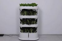 2025 maison de jardin hydroponique verticale intelligente pour jardinière de fraises plantation d'intérieur jardinière de légumes auto-arrosage Pot de fleur